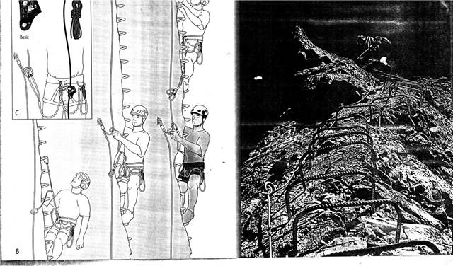 Petzl-Sport- (8)_2.jpg