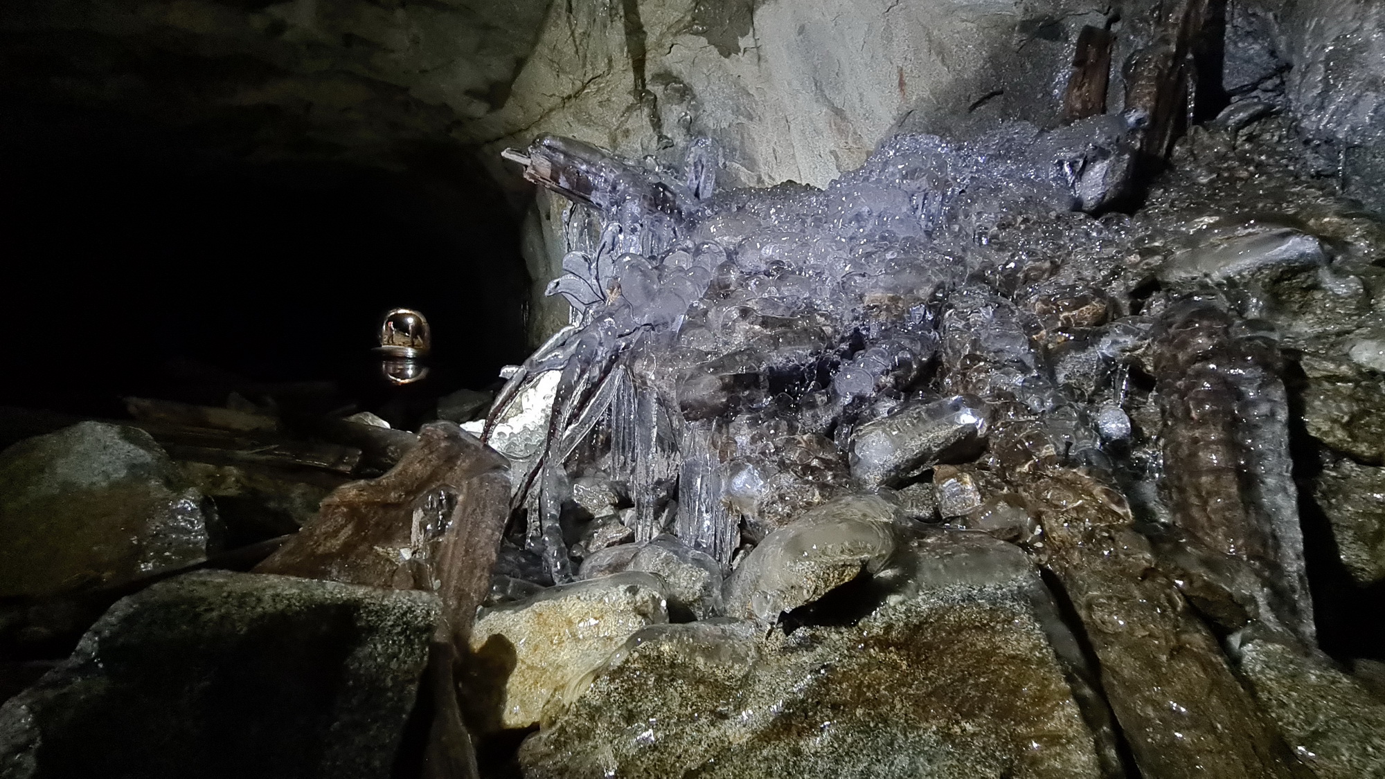 20210130_132101_новый размер.jpg